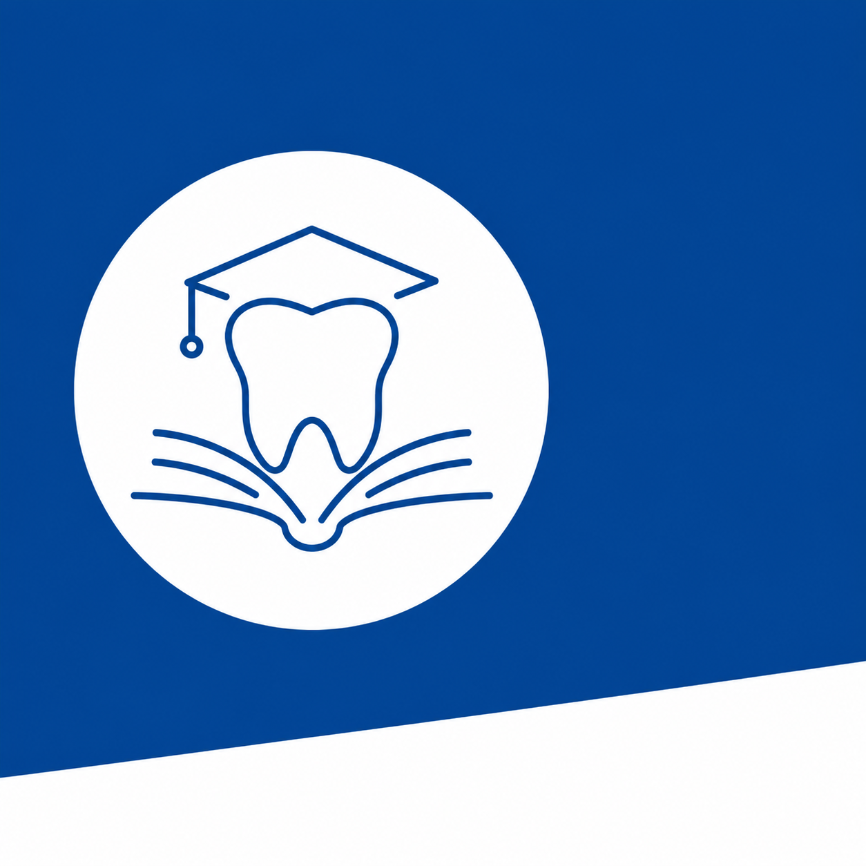 Rozwój lekarza dentysty a praktyczne kompetencje zabiegowe